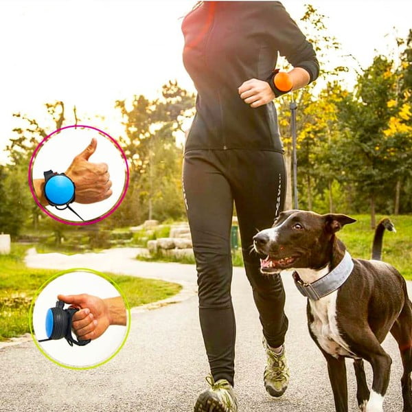 Czarna smycz w rozmiarze M 3 – Lishinu-image-2