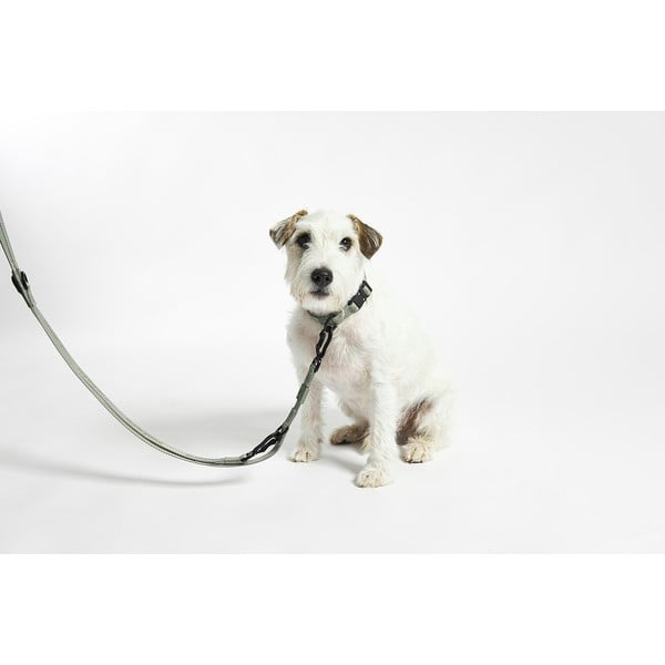 Beżowa smycz przepinana długość 200 cm Modena Greige 20 mm – MiaCara-image-3