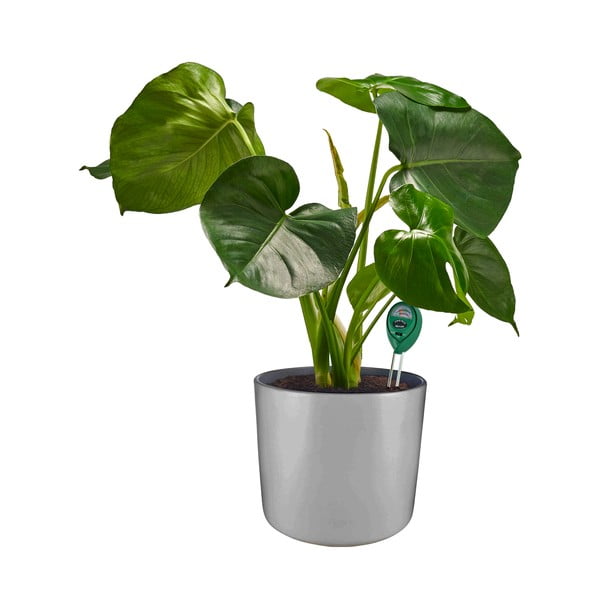 Tester ph gleby – Garden Pleasure-image-1