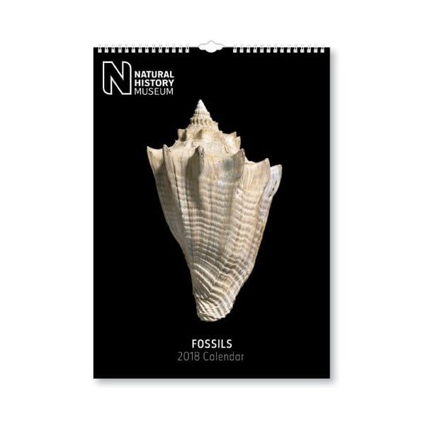 Kalendarz wiszący 2018 Portico Designs Natural History Museum Fossils, A3