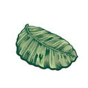 Zielony dywanik łazienkowy 60x100 cm Sheet – Foutastic