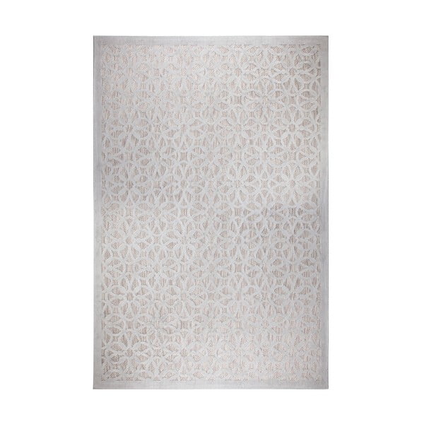 Szary dywan odpowiedni na zewnątrz 230x160 cm Argento – Flair Rugs
