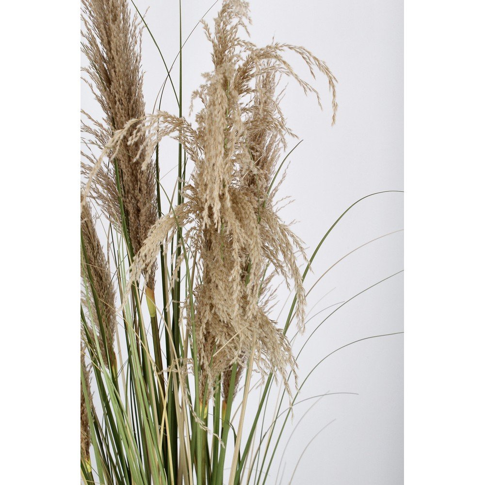 Sztuczna roślina (wysokość 145 cm) Austorderia – Bizzotto (zdjęcie 4)