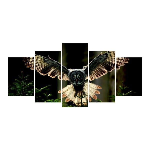 Wieloczęściowy obraz La Maison Des Couleurs Owl