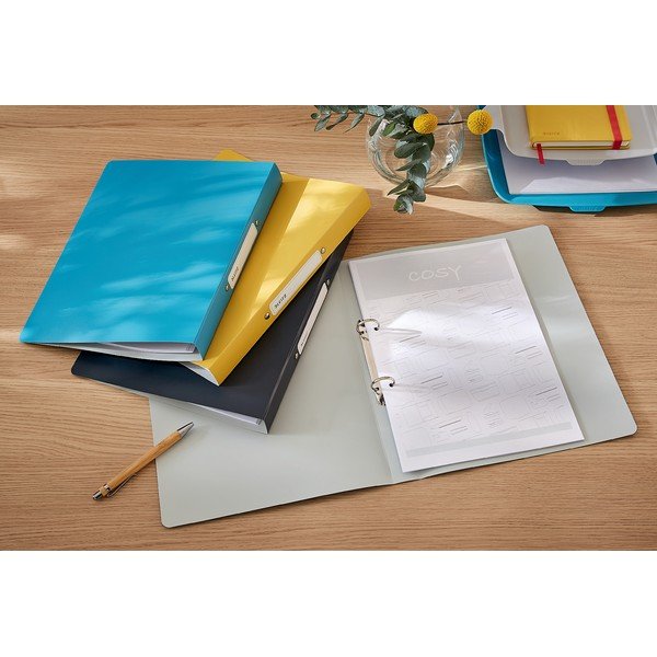 Szary segregator Leitz Cosy-image-1