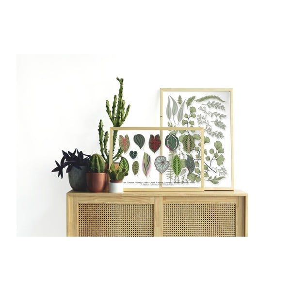 Obraz w ramie z drewna sosnowego Surdic Leafes Collection, 50x70 cm-image-1