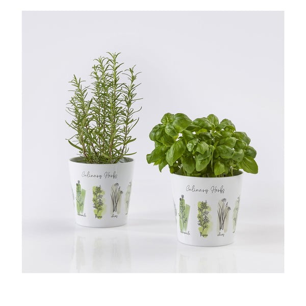 Doniczki ceramiczne do ziół zestaw 2 szt. ø 14 cm Dalllas Culinary – Big pots-image-1
