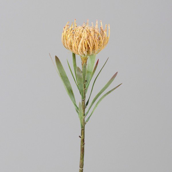 Sztuczny kwiat (wysokość 43 cm) Protea – Ego Dekor