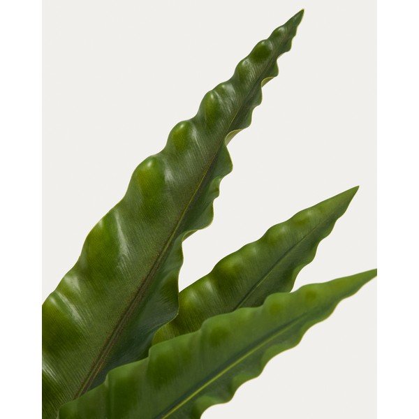 Sztuczny sukulent (wysokość 70 cm) Neottopteris – Kave Home-image-2