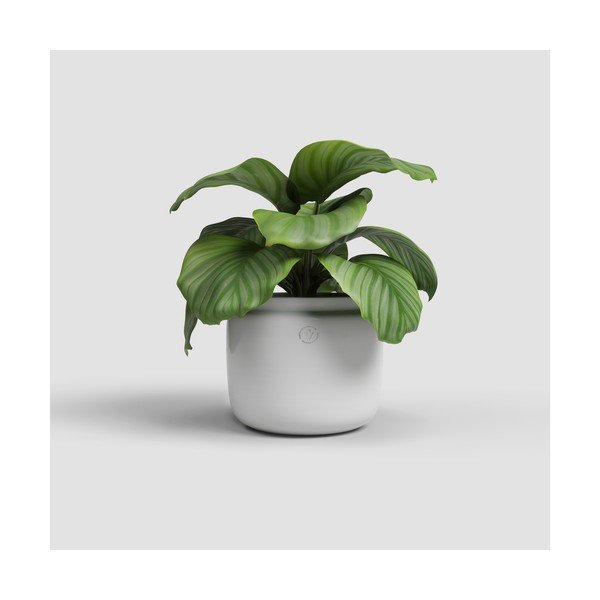 Ceramiczna ręcznie wykonana doniczka ø 26 cm Astrea – Artevasi-image-1