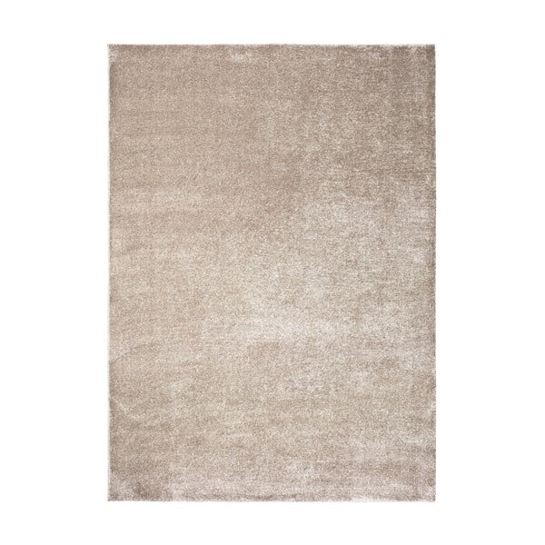 Szary/beżowy dywan 140x200 cm – Universal