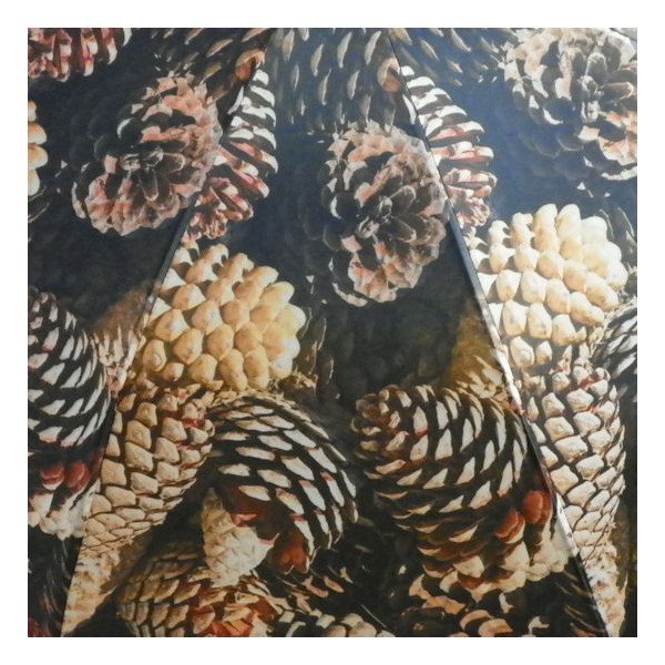 Parasol Pinecons All Over-image-3