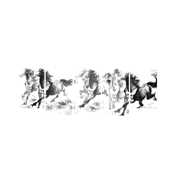 Wieloczęściowy obraz Black&White no. 30, 100x50 cm