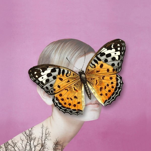 Obraz Butterfly, 60x60 cm