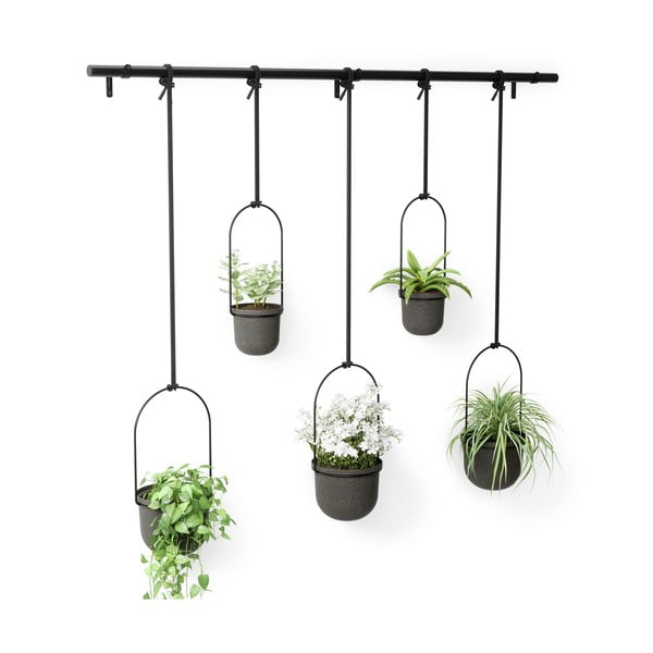 Plastikowe wiszące osłonki na doniczki na zioła zestaw 5 szt. ø 7,5 cm Triflora – Umbra-image-4