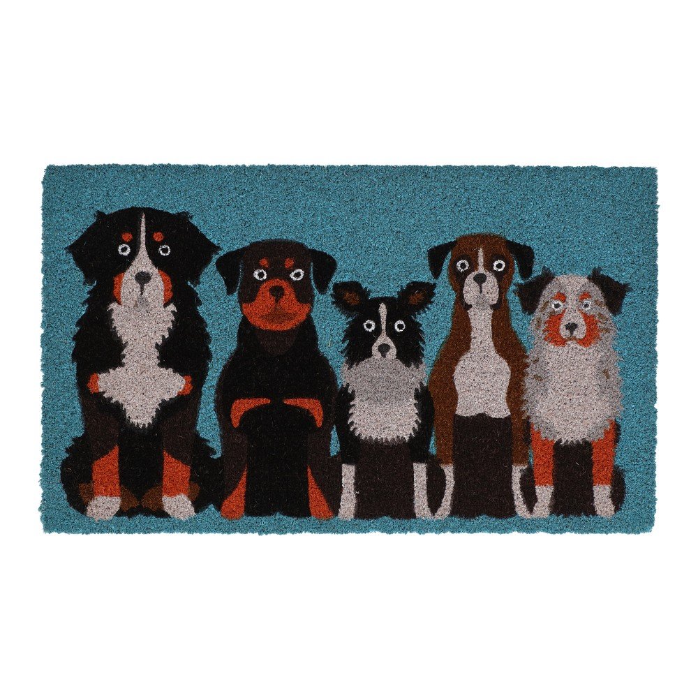 Wycieraczka z włókna kokosowego 45x75 cm – Esschert Design