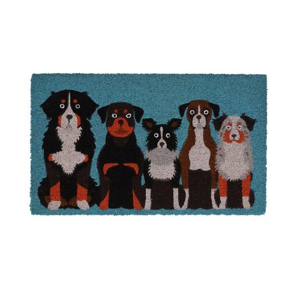 Wycieraczka z włókna kokosowego 45x75 cm – Esschert Design
