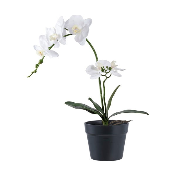 Sztuczny kwiat (wysokość 47 cm) Orchid – House Nordic