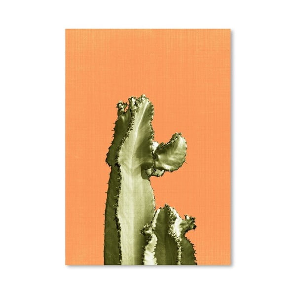 Plakat Cactus On Orange