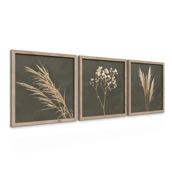 Obrazy zestaw 3 szt. 30x30 cm Pampas – Styler-image-4