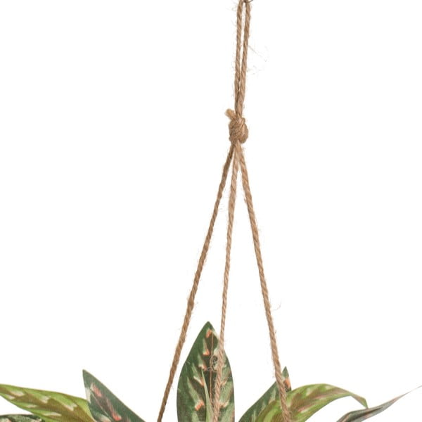 Sztuczna roślina (wysokość 25 cm) – Casa Selección-image-2