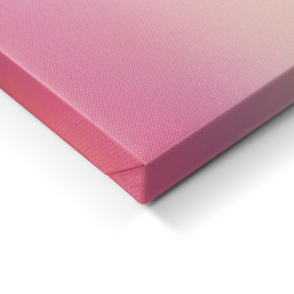 Obraz drukowany na płótnie 70x100 cm Pink Aura – Styler (zdjęcie 6)