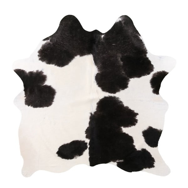 Czarno-biały dywan z prawdziwej skóry Arctic Fur Nero Creamy, 142x186 cm