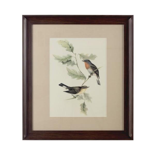 Obraz Birds in Brown, 55x62 cm