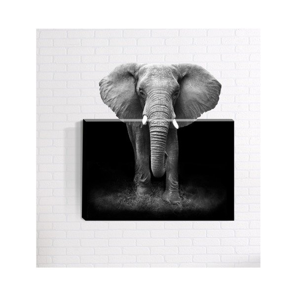 Obraz ścienny 3D Mosticx Afrika, 40x60 cm