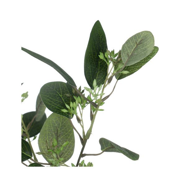 Sztuczny eukaliptus (wysokość 59 cm) – Ixia-image-1