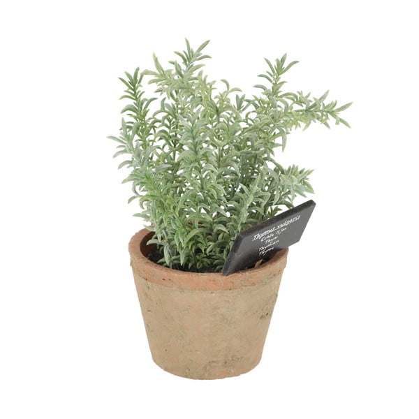Sztuczna roślina (wysokość 21,5 cm) Thyme – Esschert Design-image-3