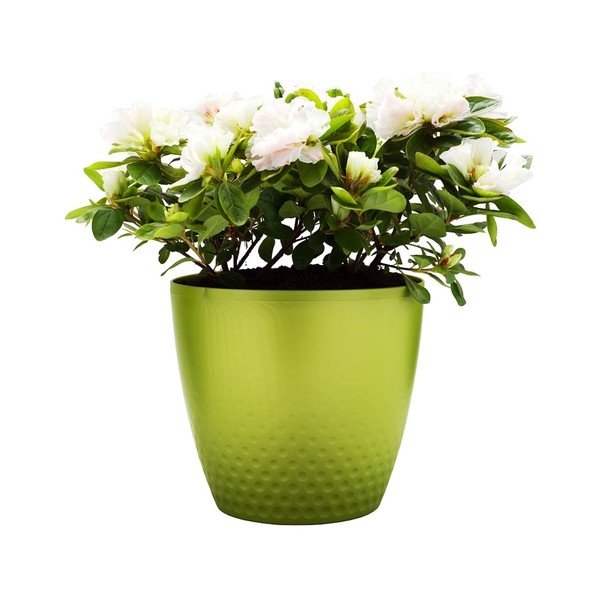Zielona doniczka Plastia Perla, ø 21,5 cm-image-1