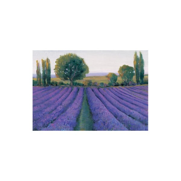 Obraz Lavender Field, 80x15 cm