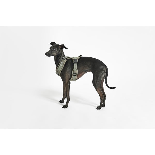 Zielone szelki dla zwierząt w rozmiarze M długość 35 cm Modena Grolive M – MiaCara-image-3