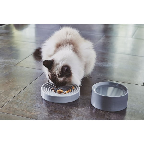 Porcelanowa miska dla kotów ø 14 cm Fresco Concrete S – MiaCara-image-3