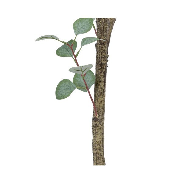 Sztuczny eukaliptus (wysokość 180 cm) Eucalyptus – Ixia-image-4