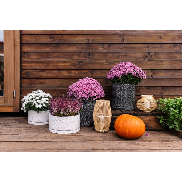 Ciemnoszara doniczka Bonami Selection Terrazzo, ø 34 cm-image-3