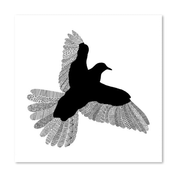Plakat Bird White, 30x30 cm