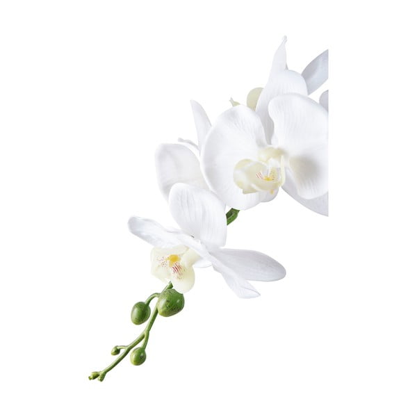 Sztuczny kwiat (wysokość 47 cm) Orchid – House Nordic-image-2