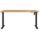 Biurko z elektryczną regulacją wysokości 80x160 cm Boras – Germania