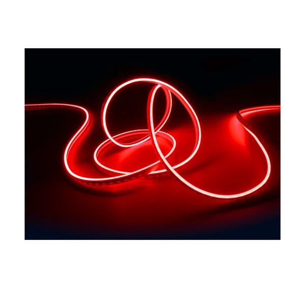 Biała taśma LED 300 cm Neon – Reality-image-4