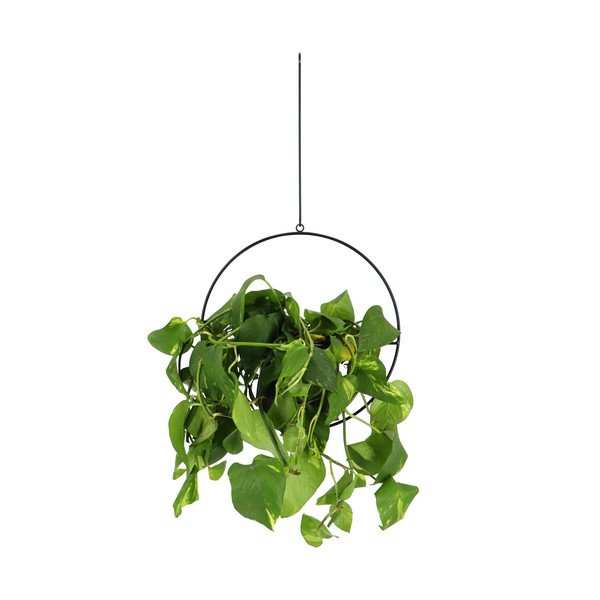 Czarny wiszący kwietnik z doniczką Esschert Design Planter-image-1