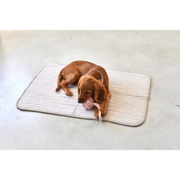 Beżowy bawełniany koc dla psów 90x120 cm Onda Greige L – MiaCara-image-2