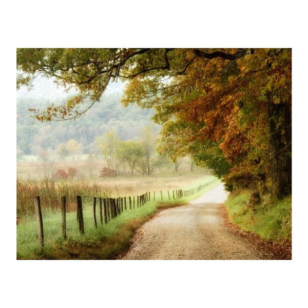 Obraz DecoMalta Autumn, 80x60 cm