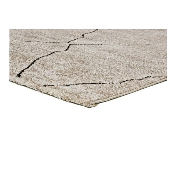 Beżowy dywan Universal Hydra Beige, 160x230 cm-image-2