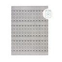 Szary dywan z szenilu odpowiedni do prania 80x160 cm Jhansi – Flair Rugs