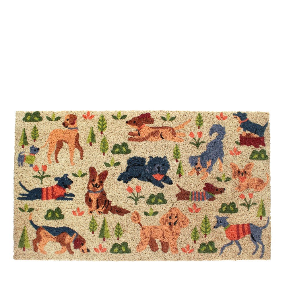 Wycieraczka z włókna kokosowego 73x43 cm Dog Park – Rex London