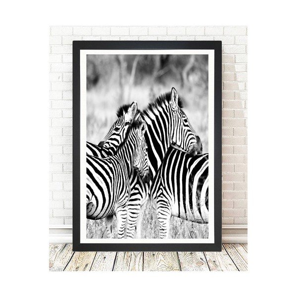 Obraz Tablo Center Zebras, 24x29 cm-image-1