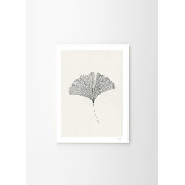 Plakat 50x70 cm Ginkgo Leaf – Ana Frois – The Poster Club-image-4