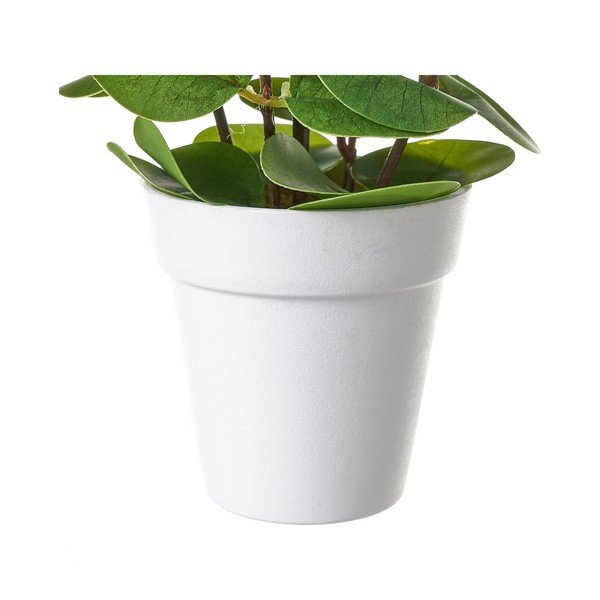 Sztuczny kwiat – Casa Selección-image-1